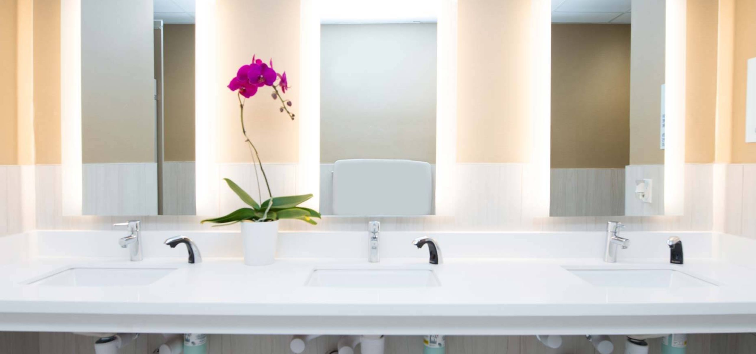 Interior Finishes image